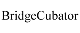BRIDGECUBATOR trademark