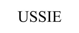 USSIE trademark