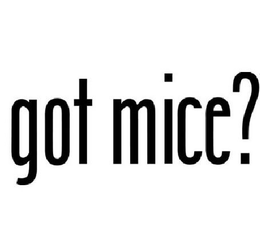 GOT MICE? trademark