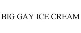 BIG GAY ICE CREAM trademark