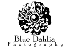 BLUE DAHLIA PHOTOGRAPHY trademark