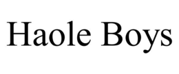 HAOLE BOYS trademark