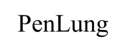 PENLUNG trademark