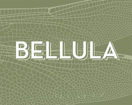 BELLULA trademark