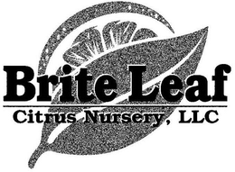 BRITE LEAF CITRUS NURSERY, LLC trademark