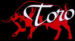 TORO trademark