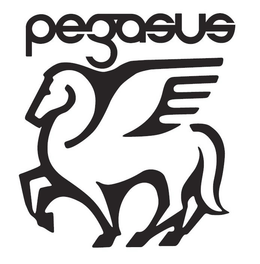 PEGASUS trademark