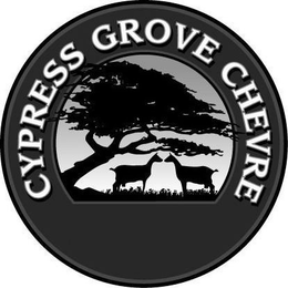 CYPRESS GROVE CHEVRE trademark