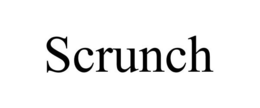 SCRUNCH trademark