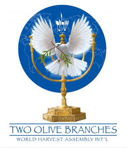 TWO OLIVE BRANCHES WORLD HARVEST ASSEMBLY INT'L trademark