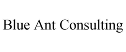 BLUE ANT CONSULTING trademark