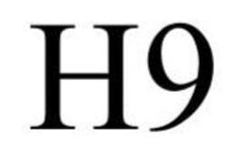 H9 trademark
