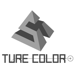 S TURE COLOR trademark