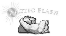ARCTIC FLASH trademark