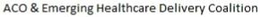 ACO & EMERGING HEALTHCARE DELIVERY COALITION trademark