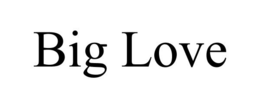 BIG LOVE trademark