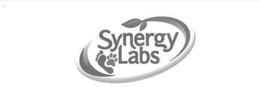 SYNERGY LABS trademark