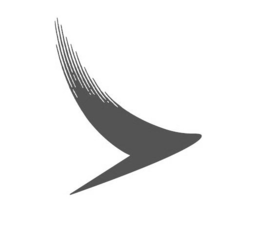 V trademark