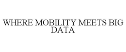WHERE MOBILITY MEETS BIG DATA trademark