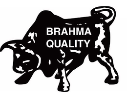 BRAHMA QUALITY trademark