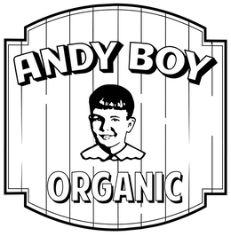 ANDY BOY ORGANIC trademark
