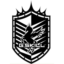 G. SKILL trademark