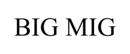BIG MIG trademark
