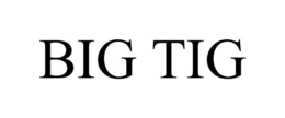 BIG TIG trademark