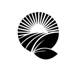 Q trademark