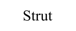 STRUT trademark