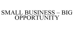SMALL BUSINESS - BIG OPPORTUNITY trademark