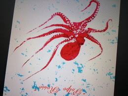 POLPO ROSSO trademark