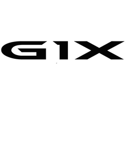 G1X trademark