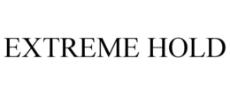 EXTREME HOLD trademark