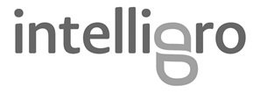 INTELLIGRO trademark