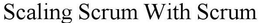 SCALING SCRUM WITH SCRUM trademark