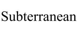 SUBTERRANEAN trademark