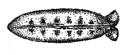 LogoMark trademark