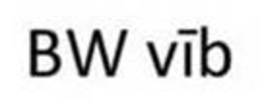 BW VIB trademark