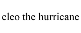 CLEO THE HURRICANE trademark