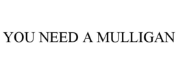 YOU NEED A MULLIGAN trademark