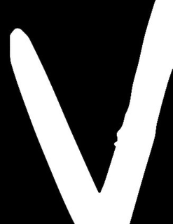 V trademark