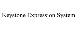 KEYSTONE EXPRESSION SYSTEM trademark