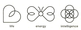 LIFE ENERGY INTELLIGENCE trademark
