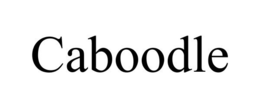 CABOODLE trademark
