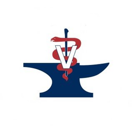 V trademark