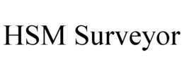 HSM SURVEYOR trademark