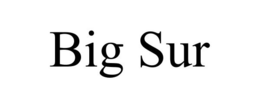 BIG SUR trademark