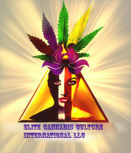 ELITE CANNABIS CULTURE INTERNATIONAL LLC trademark