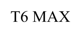 T6 MAX trademark